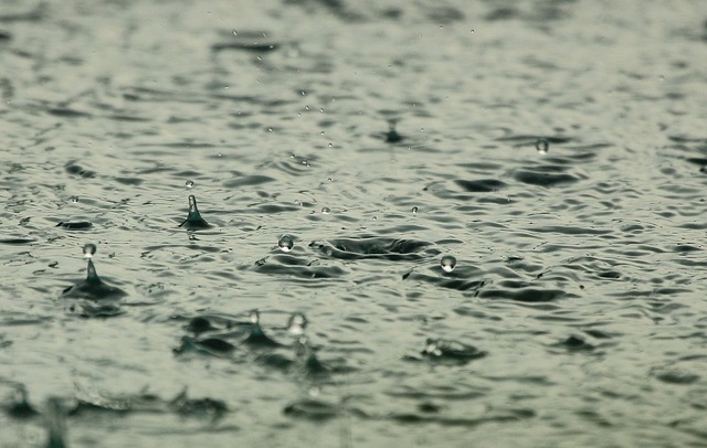 雨の画像