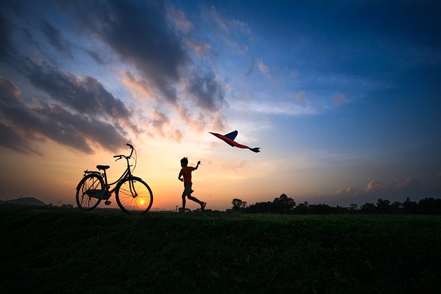 飛行機を飛ばす夕暮れの画像