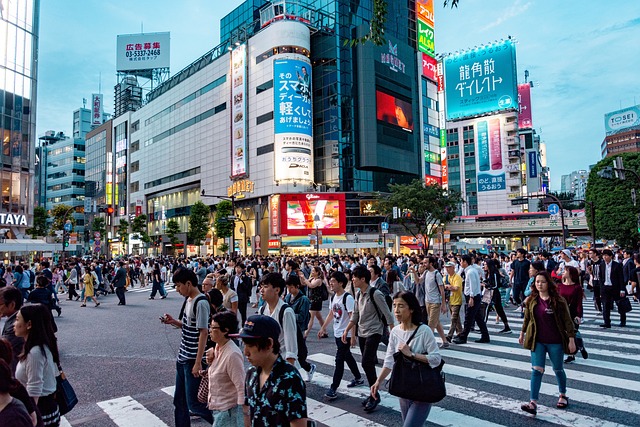 社会の画像