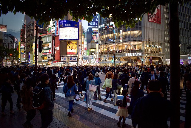 転職市場の画像